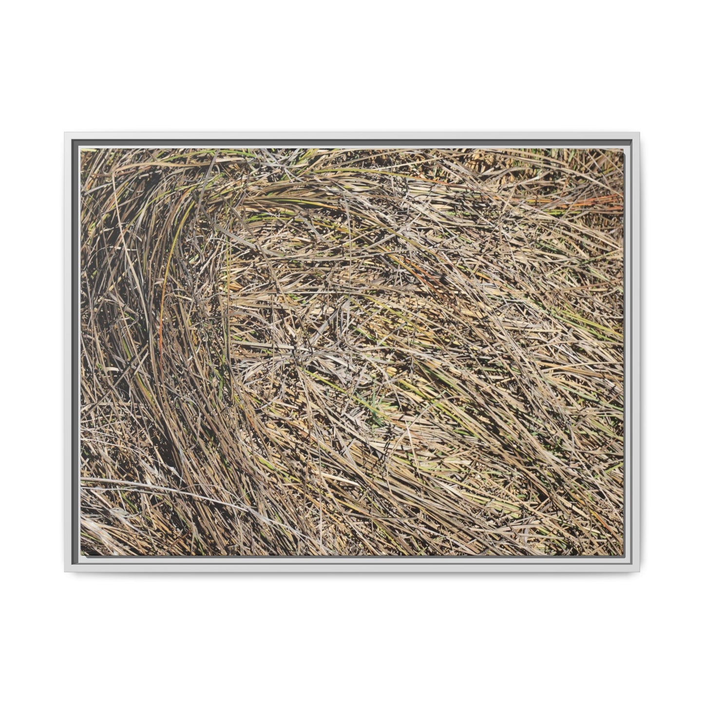 Tangled Grass Symphony - Unique Stretched Canvas Wall Art - Art By Earth