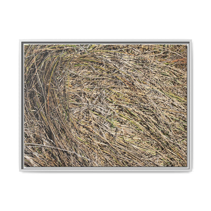 Tangled Grass Symphony - Unique Stretched Canvas Wall Art - Art By Earth