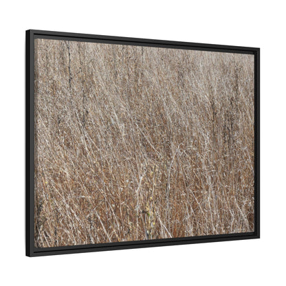 Dry Grass Symphony - Unique Stretched Canvas Wall Art - Art By Earth