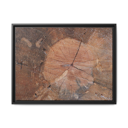 Concentric Memories - Unique Poster Wall Art