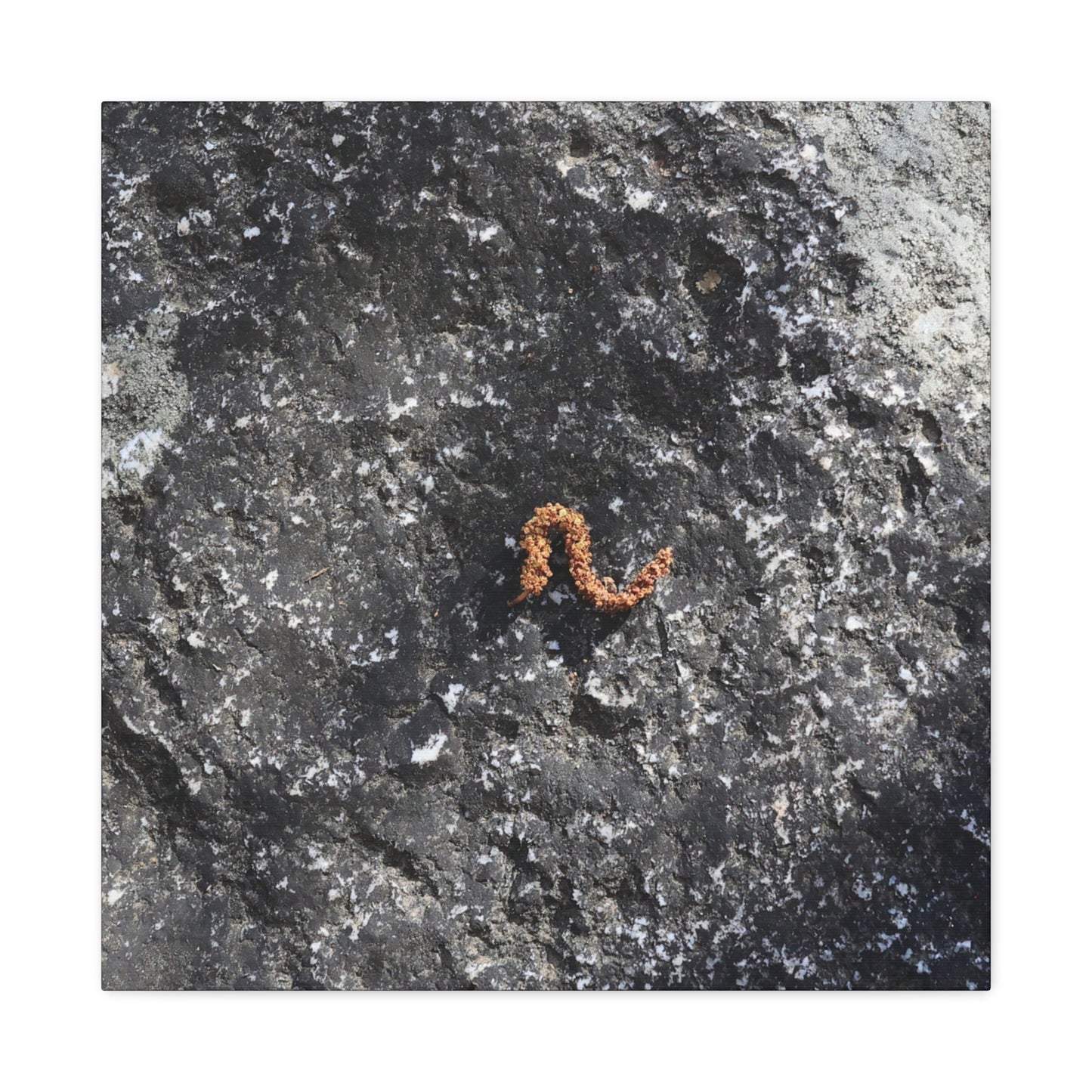 Earthen Serpent - Unique Frameless Canvas Wall Art