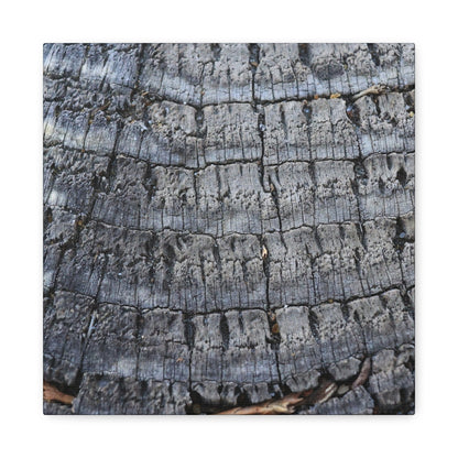 Whispers of Age - Unique Frameless Canvas Wall Art