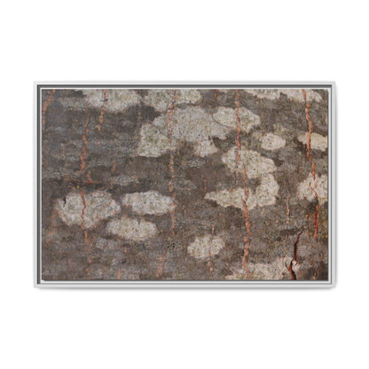 Lichen's Legacy - Unique Stretched Canvas Wall Art