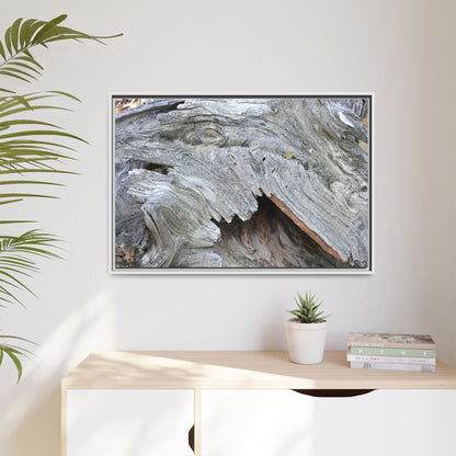 Driftwood Dreams - Unique Stretched Canvas Wall Art