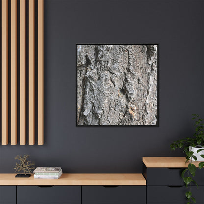 Crusty Exterior - Unique Stretched Canvas Wall Art