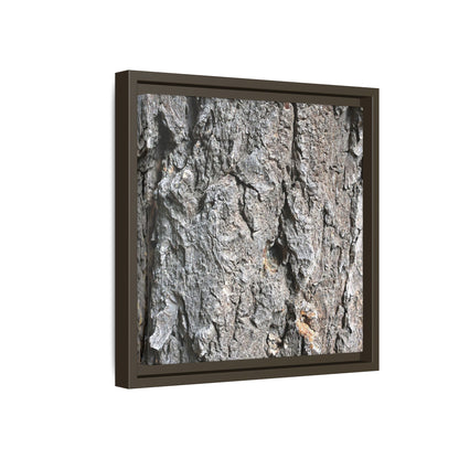 Crusty Exterior - Unique Stretched Canvas Wall Art