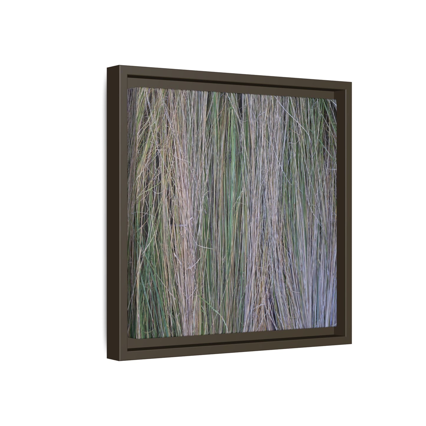 Whispers of Silver Grass - Unique Stretched Canvas Wall Art