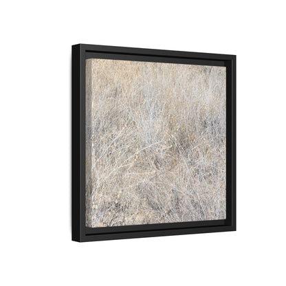 Whispers of Dry Grass - Unique Stretched Canvas Wall Art - Art By Earth