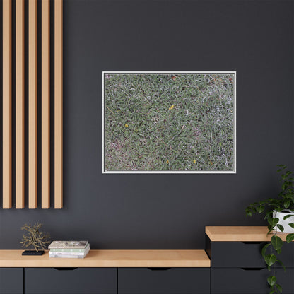 Grassy Texture - Unique Stretched Canvas Wall Art