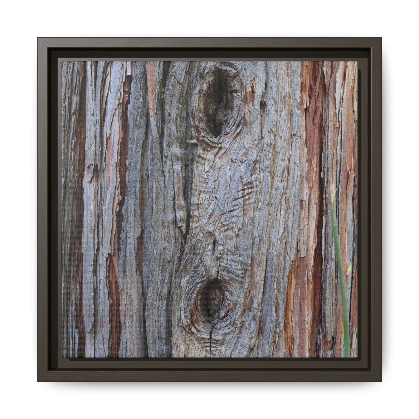 Knotty Nature - Unique Stretched Canvas Wall Art