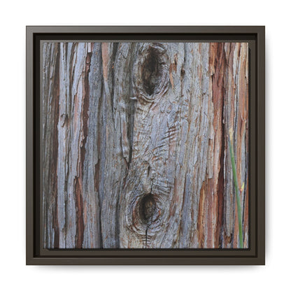 Knotty Nature - Unique Stretched Canvas Wall Art