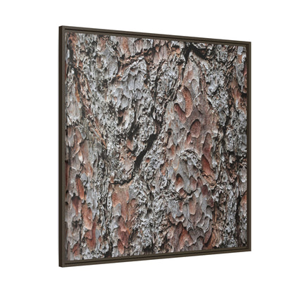 Bark Texture Symphony - Unique Stretched Canvas Wall Art