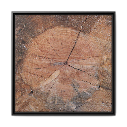 Concentric Memories - Unique Stretched Canvas Wall Art