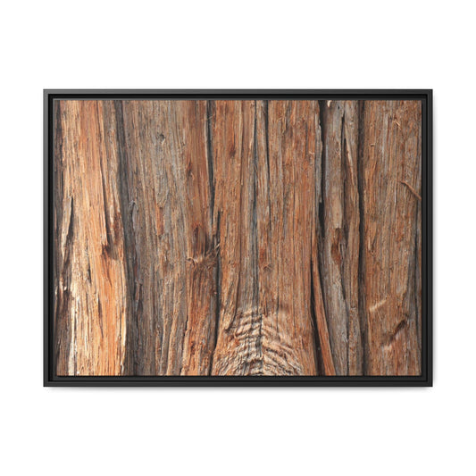 Echoes of Timber - Unique Stretched Canvas Wall Art