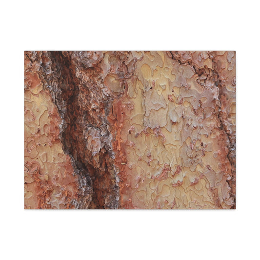 Arboreal Secrets - Unique Frameless Canvas Wall Art - Art By Earth
