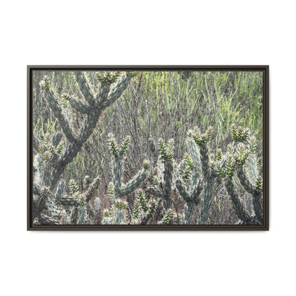 Prickly Paradise - Unique Stretched Canvas Wall Art