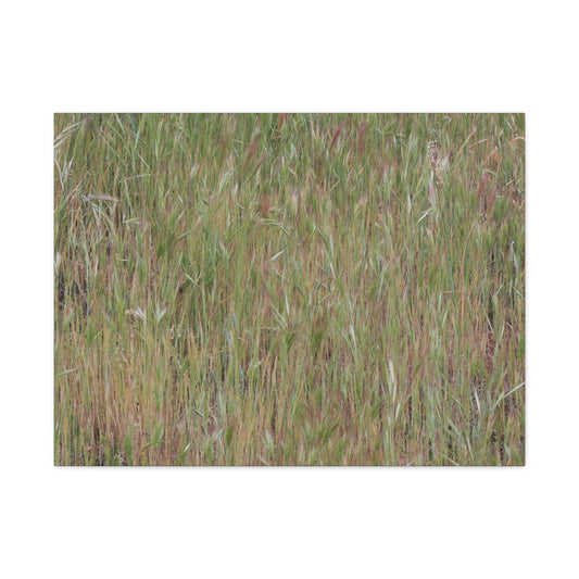 Whispers of the Prairie - Unique Frameless Canvas Wall Art