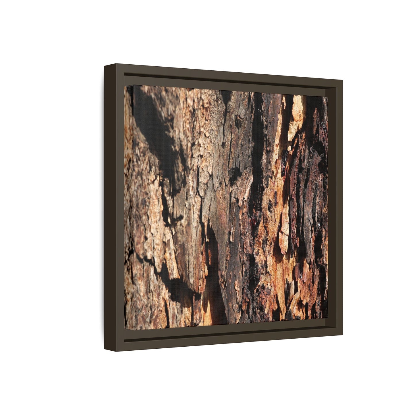 Rugged Beauty - Unique Stretched Canvas Wall Art