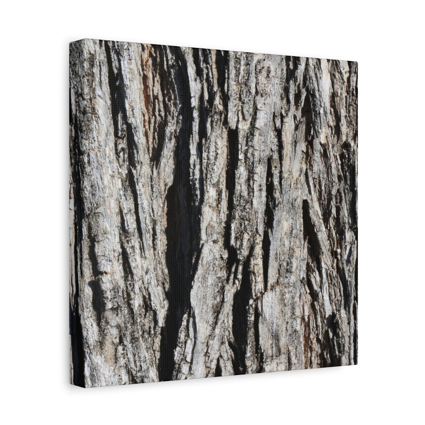Bark Textures in Monochrome - Unique Frameless Canvas Wall Art