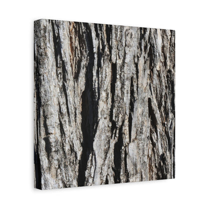 Bark Textures in Monochrome - Unique Frameless Canvas Wall Art