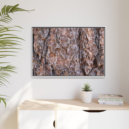 Woody Layers - Unique Stretched Canvas Wall Art