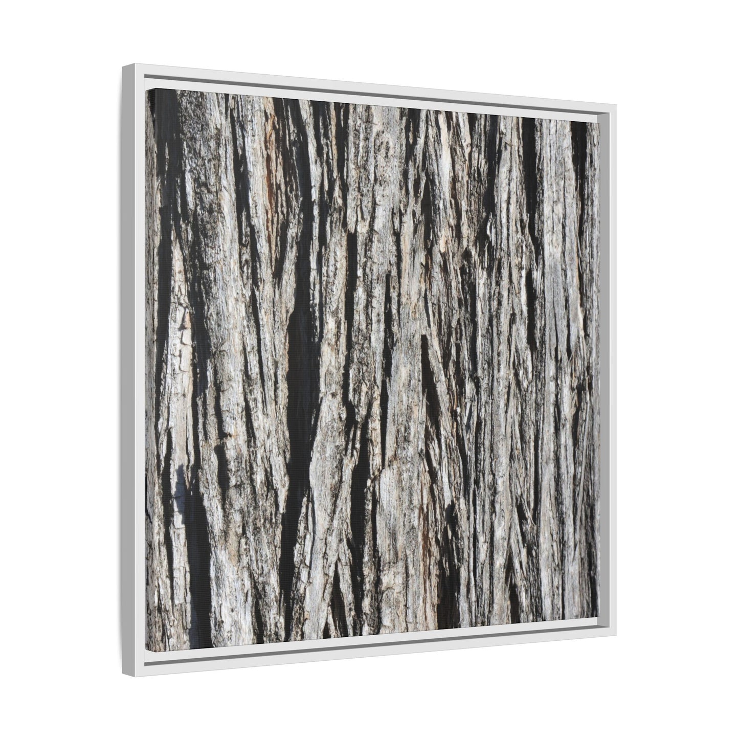 Nature's Abstract - Unique Stretched Canvas Wall Art