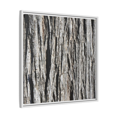 Nature's Abstract - Unique Stretched Canvas Wall Art