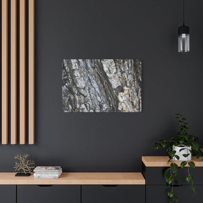 Nature's Rough Embrace - Unique Frameless Canvas Wall Art