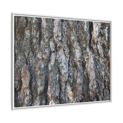 Bark Whispers - Unique Stretched Canvas Wall Art