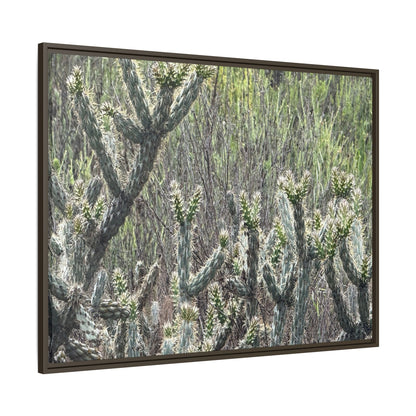Prickly Paradise - Unique Stretched Canvas Wall Art