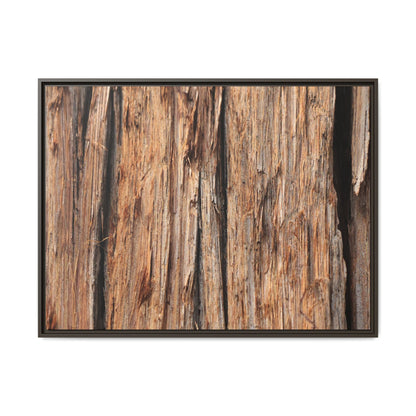 Timber Echoes - Unique Stretched Canvas Wall Art