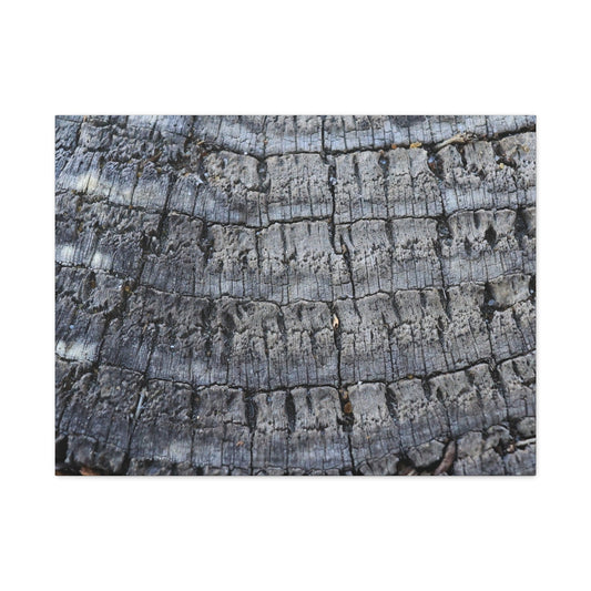 Whispers of Age - Unique Frameless Canvas Wall Art