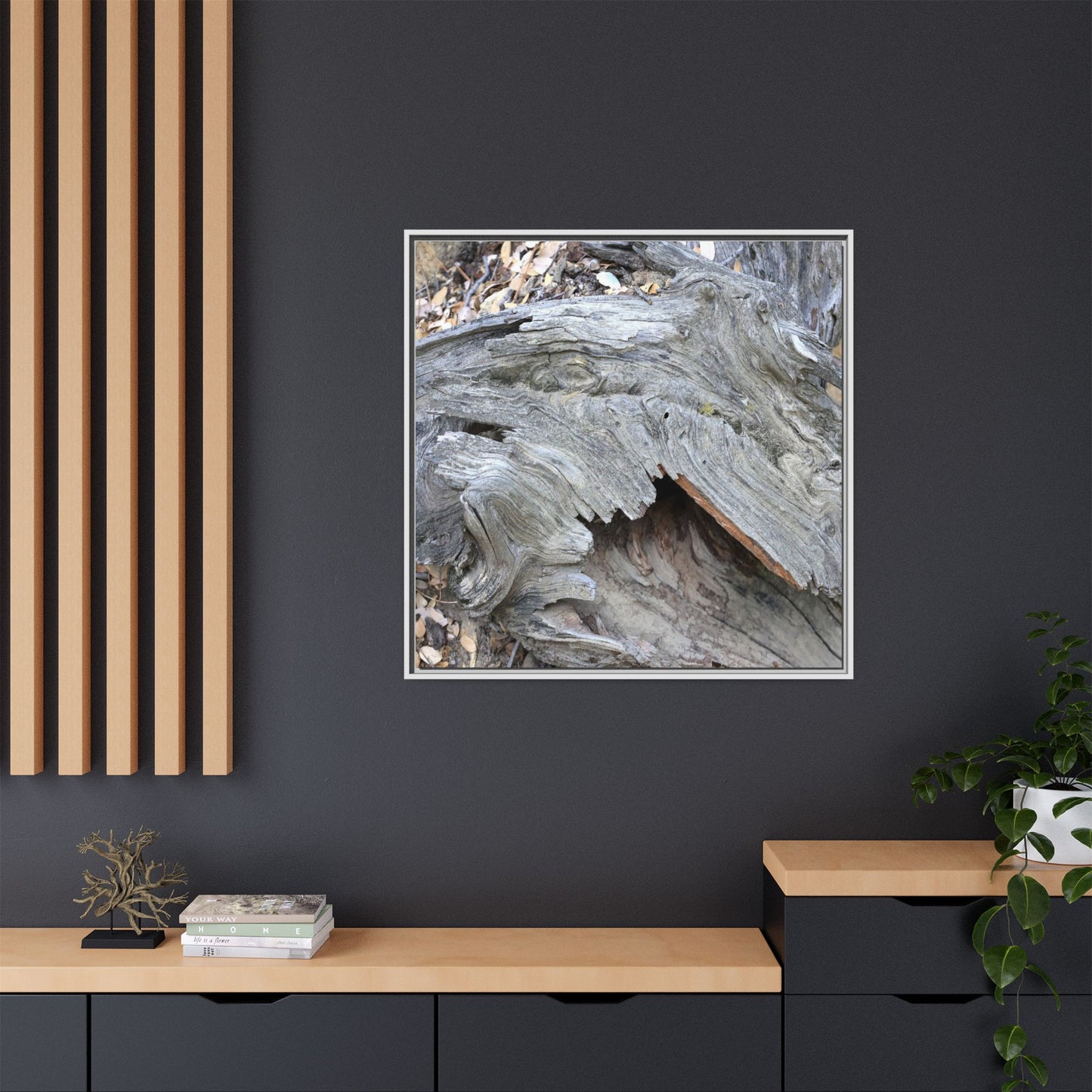 Driftwood Dreams - Unique Stretched Canvas Wall Art