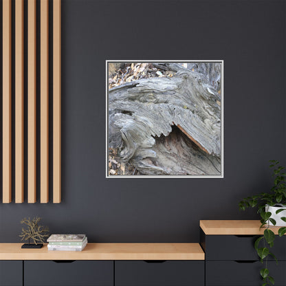 Driftwood Dreams - Unique Stretched Canvas Wall Art