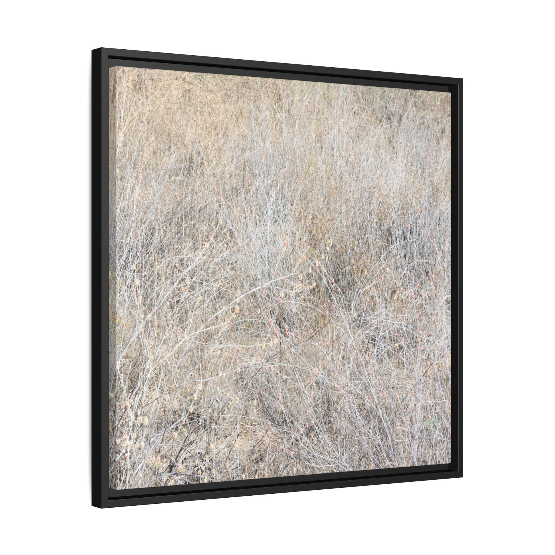 Whispers of Dry Grass - Unique Stretched Canvas Wall Art - Art By Earth