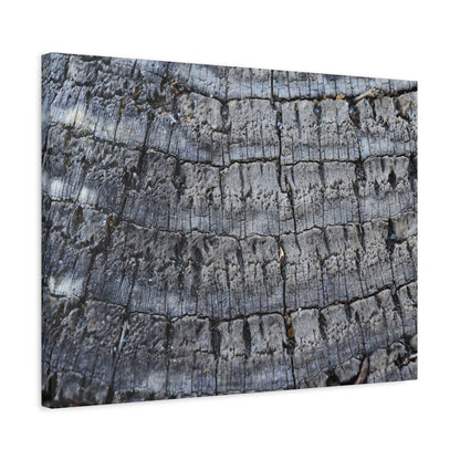 Whispers of Age - Unique Frameless Canvas Wall Art