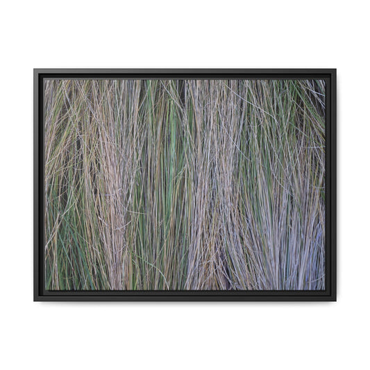 Whispers of Silver Grass - Unique Stretched Canvas Wall Art