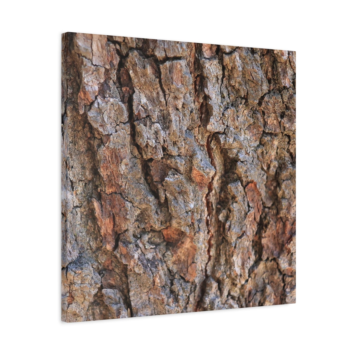 Roots of Time - Unique Frameless Canvas Wall Art