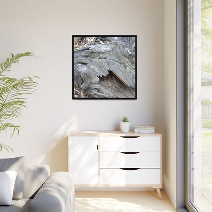 Driftwood Dreams - Unique Stretched Canvas Wall Art