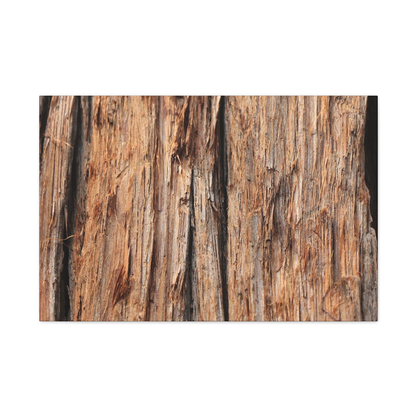 Woodland Echoes - Unique Frameless Canvas Wall Art