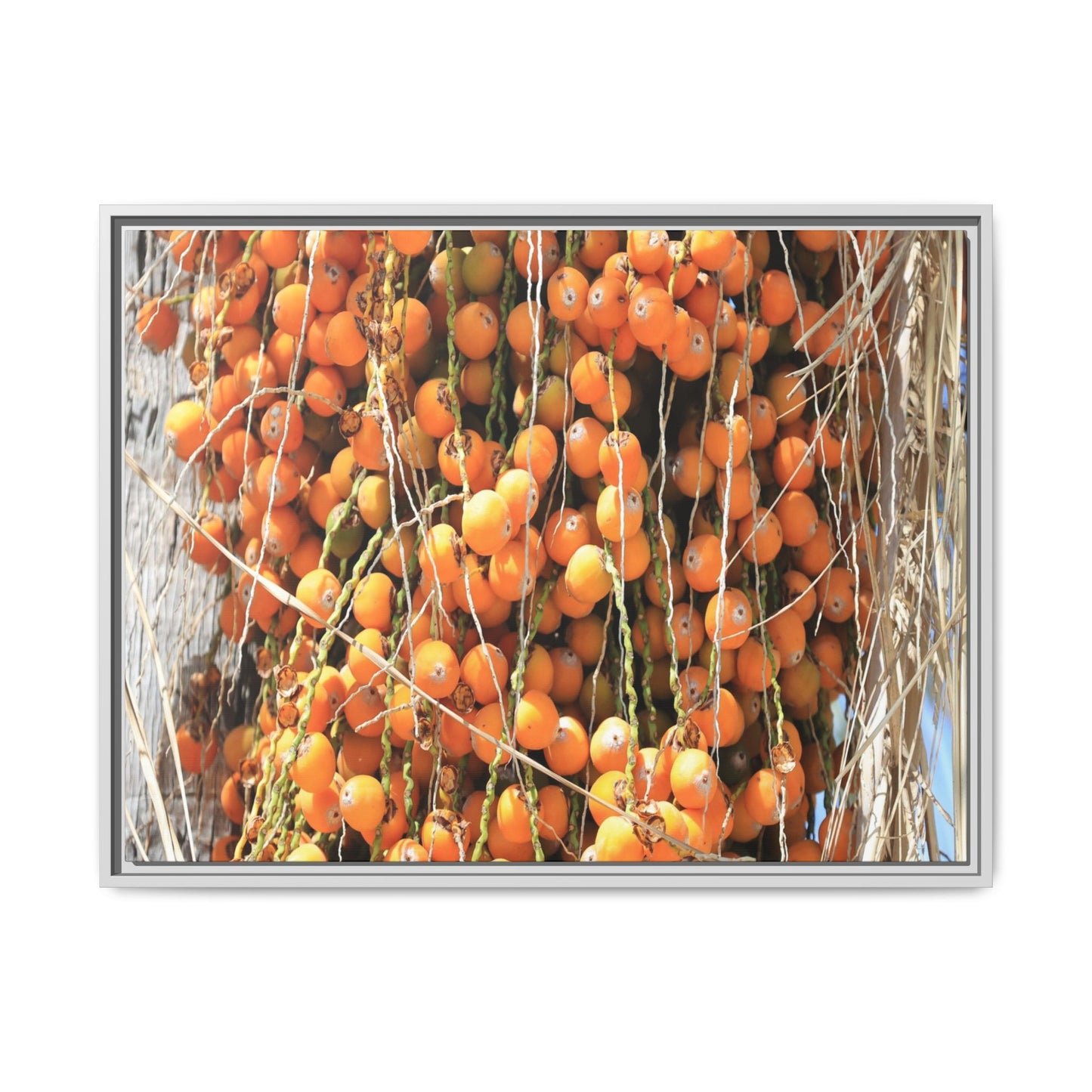 Clusters of Sunlight - Unique Canvas Wall Art