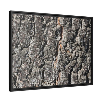 Aged Beauty - Unique Stretched Canvas Wall Art