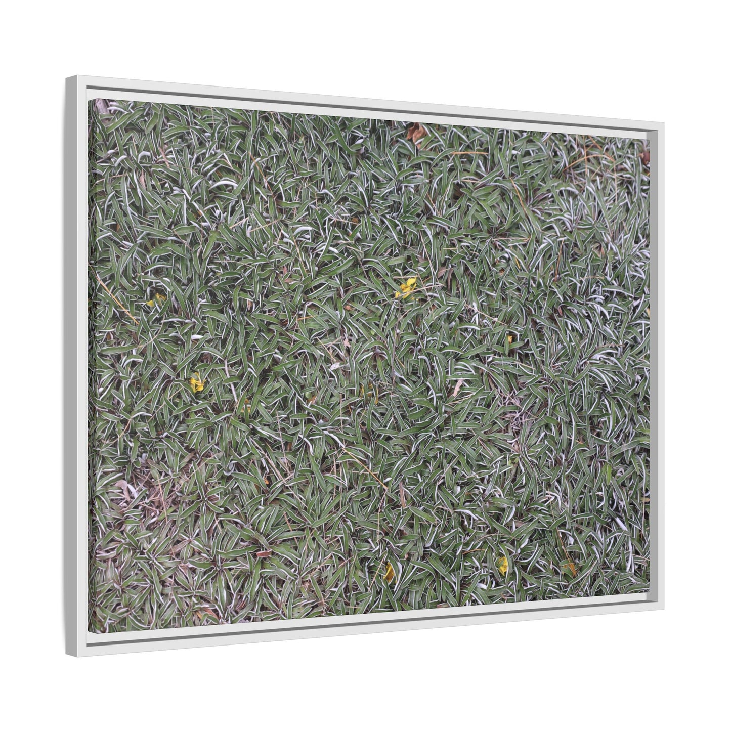 Grassy Texture - Unique Stretched Canvas Wall Art
