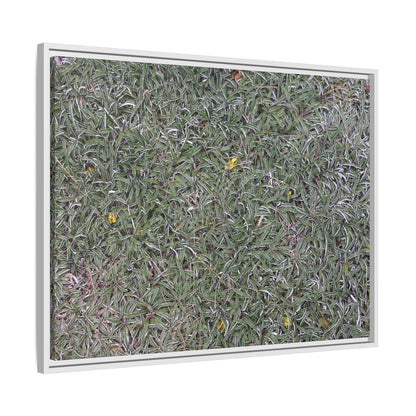 Grassy Texture - Unique Stretched Canvas Wall Art