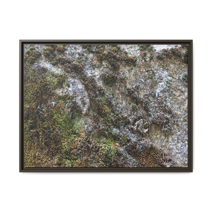 Mossy Whispers - Unique Stretched Canvas Wall Art