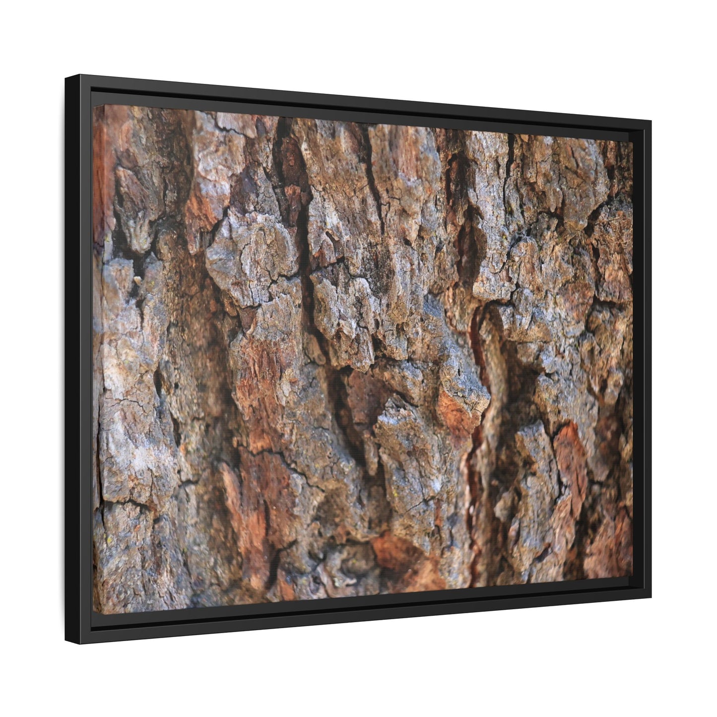 Craggy Textures - Unique Stretched Canvas Wall Art