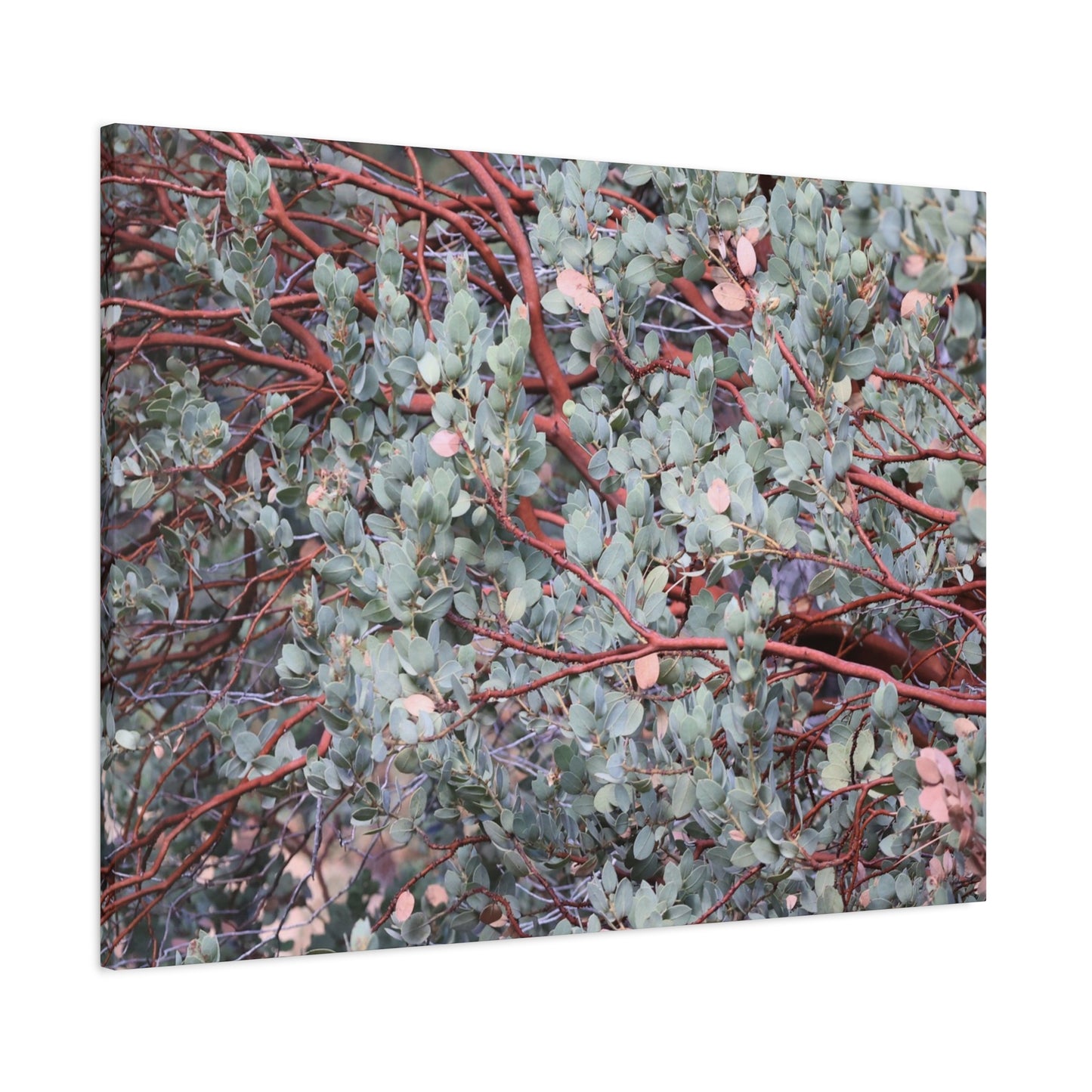 Whispers of Silver and Rust - Unique Frameless Canvas Wall Art