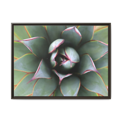 Spiky Elegance - Unique Stretched Canvas Wall Art