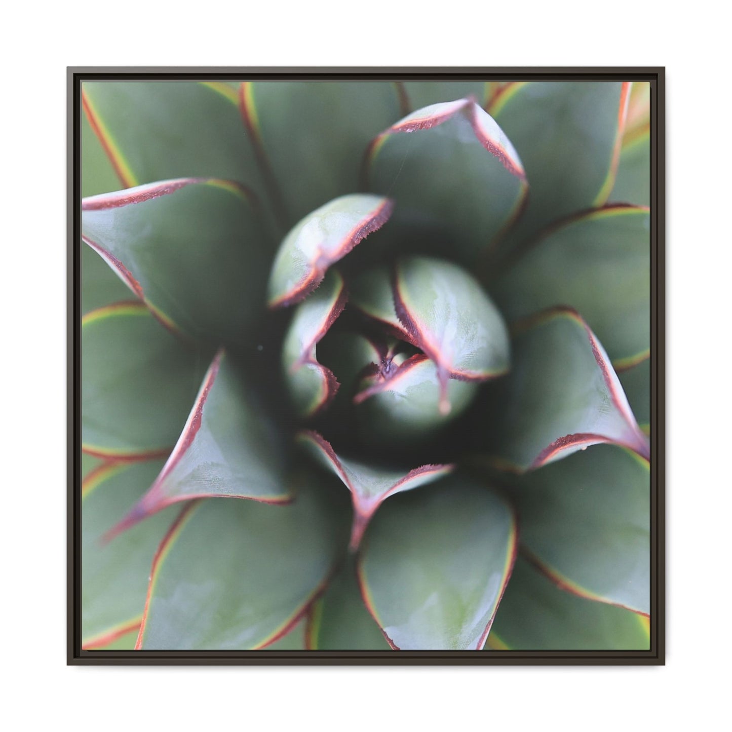 Spiky Elegance - Unique Stretched Canvas Wall Art