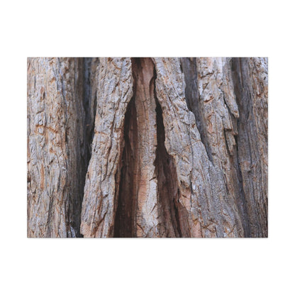 Fractured Skin of Time - Unique Frameless Canvas Wall Art